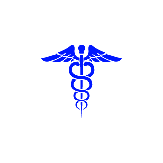 D1LLeX's emblem
