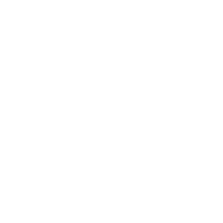 AuthenticBleak's emblem