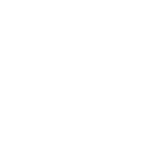 Don_Camilo1993's emblem
