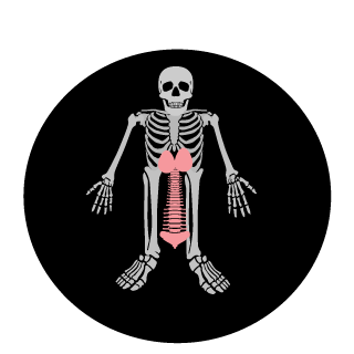 BraumGG's emblem