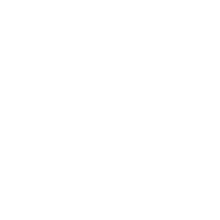 2kFIFA2k's emblem