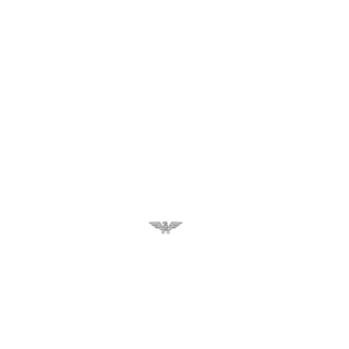 lII-kei-IIl's emblem