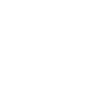 Al1GG's emblem