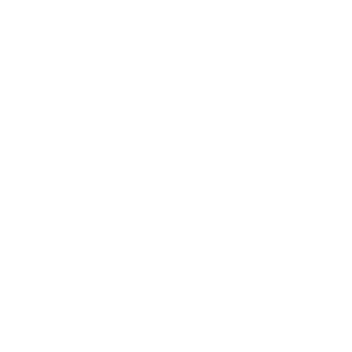 0011000100110011's emblem