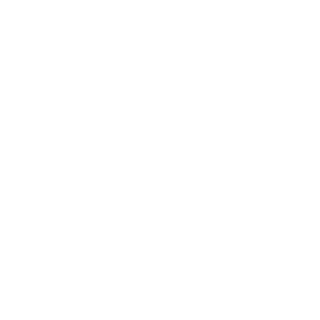 lexa131070's emblem