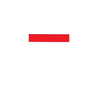 NikitaBielarus's emblem
