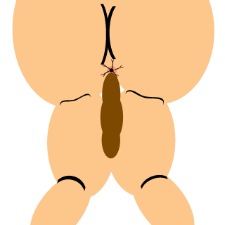 benedictburns's emblem