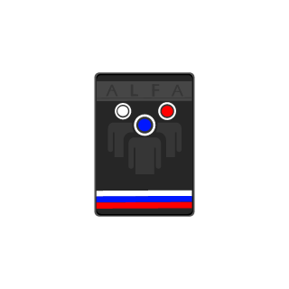PoccBrat's emblem
