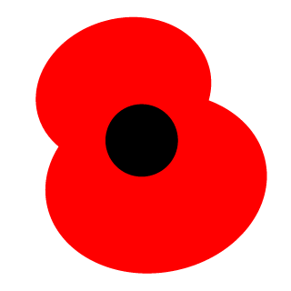22SAS-Parko's emblem