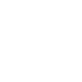 Ashots_Nitrous's emblem