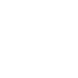 8b8a9ae7ca6e3fe5's emblem