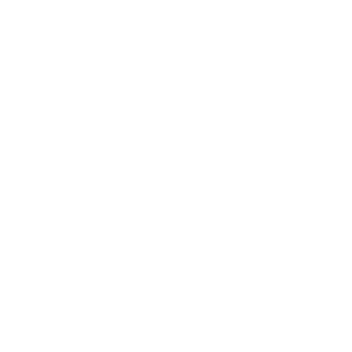 Netninja86's emblem