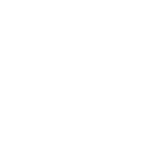 Steve_Hawkins_Cz's emblem