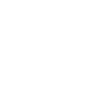 bloschi88's emblem