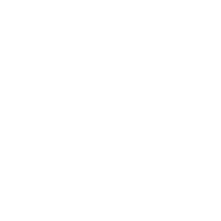 Flaeron_v2's emblem