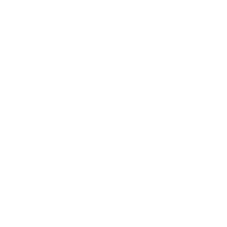 Will9455's emblem