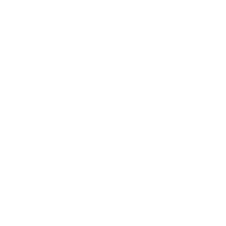 aslttrooper's emblem