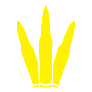 67_looping's emblem
