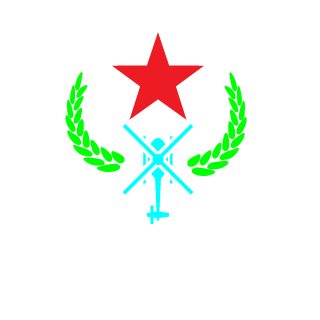 QinJinCheng's emblem