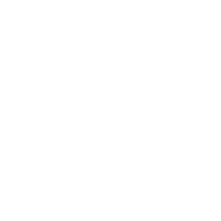 InterceptorBoi's emblem