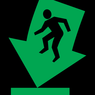 Dutch Elite Squad's emblem