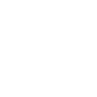 McSLYDEZ's emblem