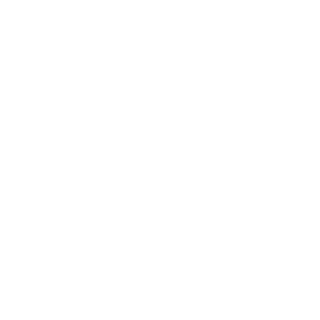 SnakePlisken1978's emblem