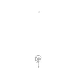 black_trou's emblem