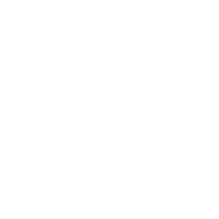 djnektome's emblem