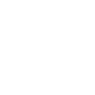 ToeSniffer2738's emblem