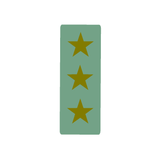 RoJoSWE's emblem