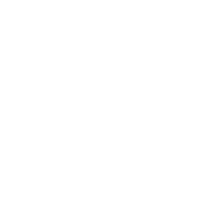 AlechKO_AK_47's emblem