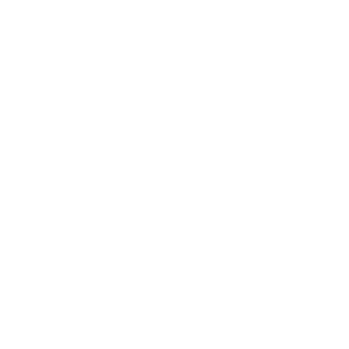 0I_Binary_I0's emblem