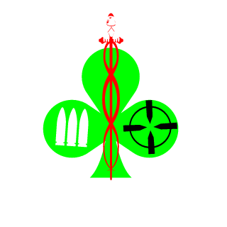 SnapBIG T 2009's emblem