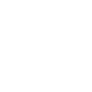 xLOAD_12's emblem