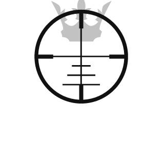 Pers30's emblem