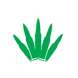 Akino779's emblem