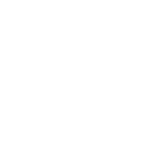 41ceee's emblem