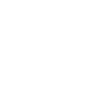 IIKAZiNSKYII's emblem