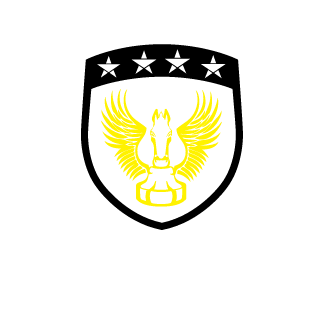 babo9719's emblem