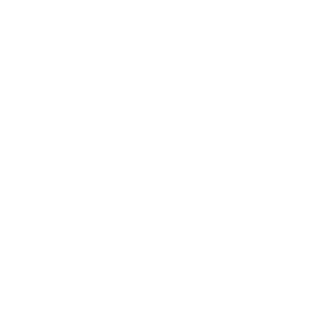 tiagoalvesteles's emblem