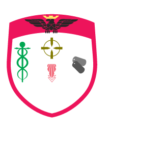 omidvar4263's emblem