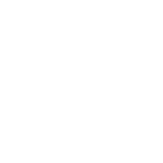 ARIS-BF's emblem