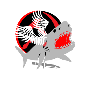 CapinSaltyBalls's emblem