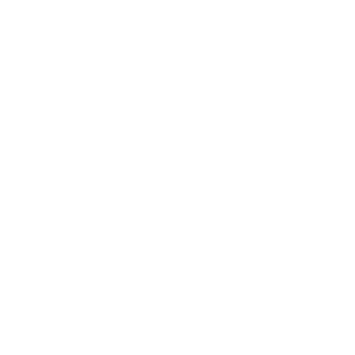 hydroelastic's emblem