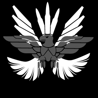 Risk0fR4in's emblem
