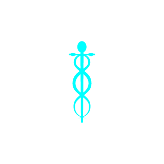 SnaKe19017's emblem