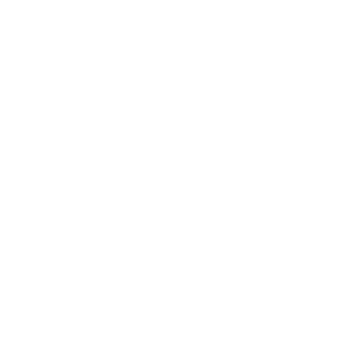StealthtrooperII's emblem