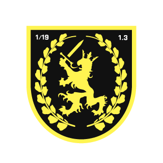 Ninjara313's emblem