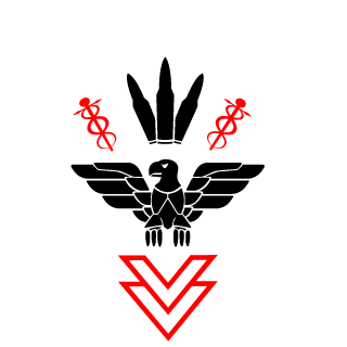 oechs33's emblem